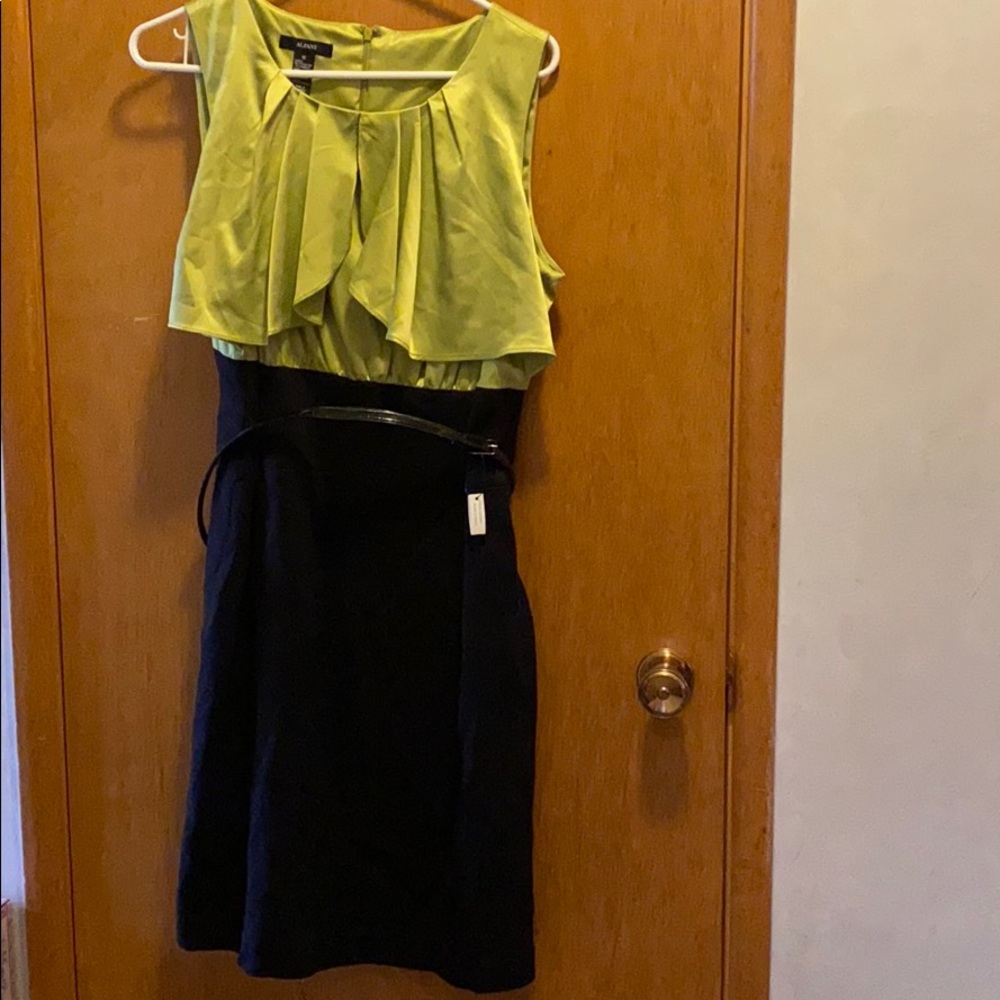 New Alfani dress